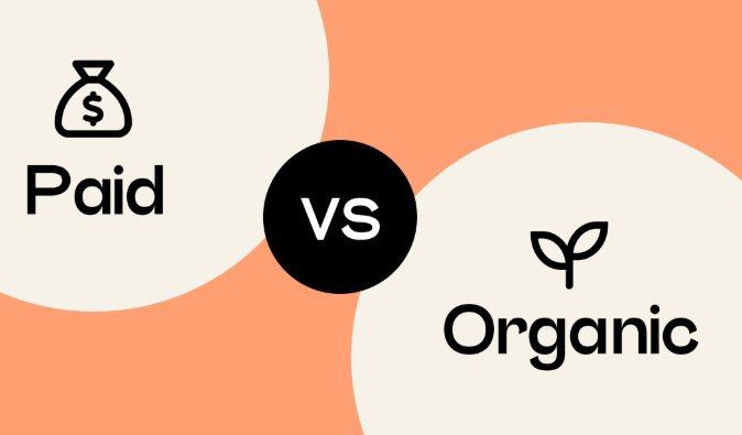 Paid vs. Organic Search: Which One Delivers Better ROI for Your Brand?
